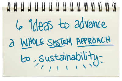 6 ideas to advance a whole system approach to sustainability